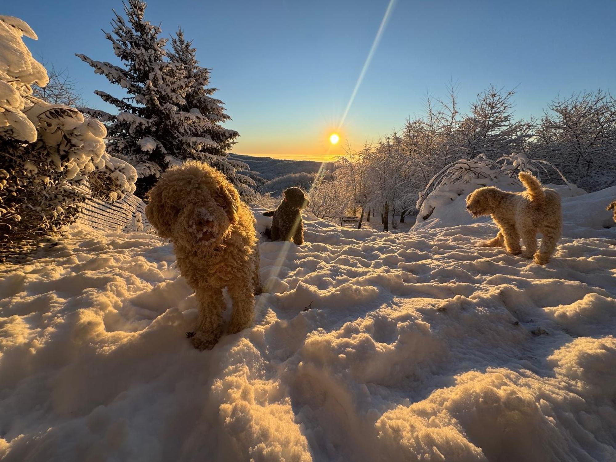 Guest House Lagotto'S Peak Radatovici Dış mekan fotoğraf