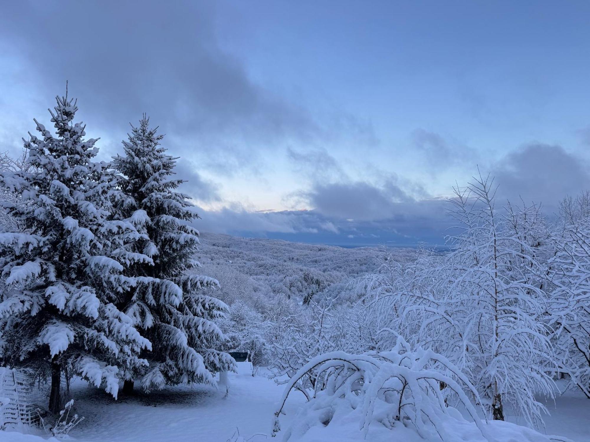 Guest House Lagotto'S Peak Radatovici Dış mekan fotoğraf