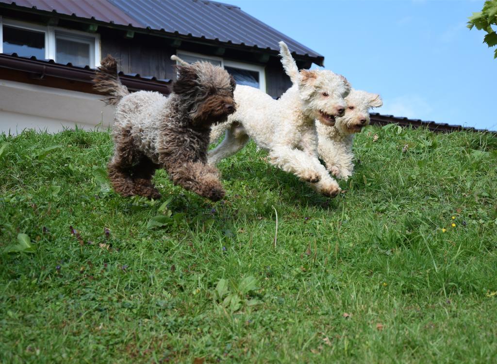 Guest House Lagotto'S Peak Radatovici Dış mekan fotoğraf