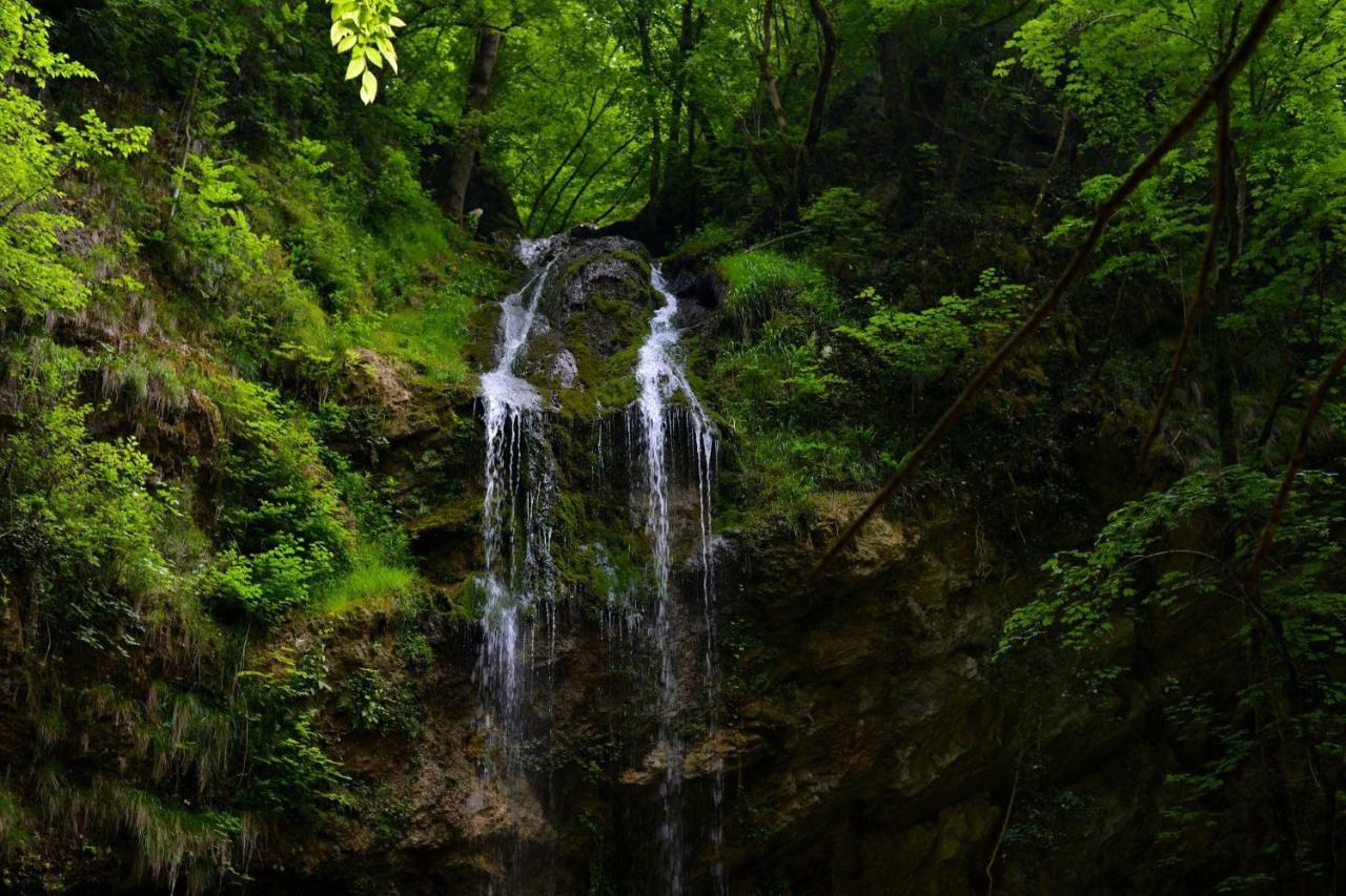 Guest House Lagotto'S Peak Radatovici Dış mekan fotoğraf
